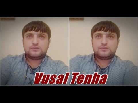 Vusal Tenha ft Munasib Memmedov - Senli Gunlerimi 2017