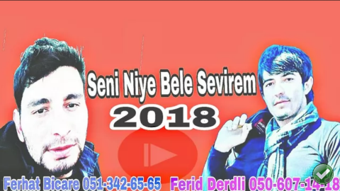 Ferhad Bicare ft Ferid Derdli - Seni Niye Bele Sevirem 2018 LoGoSuZ