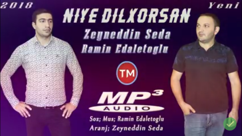 Ramin Edaletoglu ft Zeyneddin Seda - Niye Dilxorsan 2018