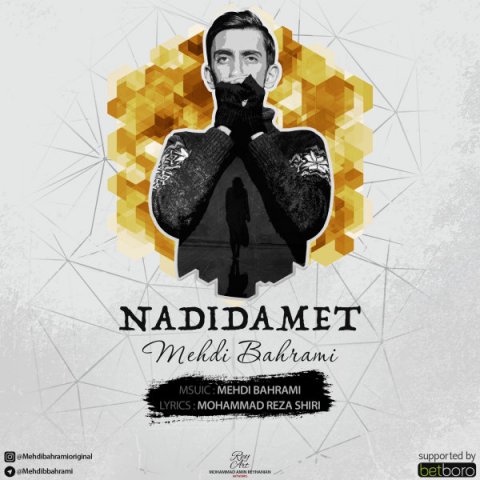 Mehdi Bahrami - Nadidamet(Seni görmedim) 2019