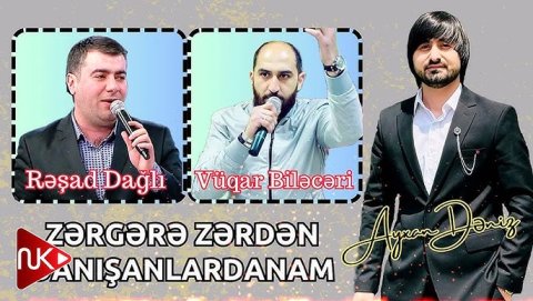 Rəşad & Vüqar - Zərgərə Zərdən Danışanlardanam 2024 (Remix)